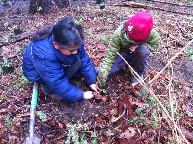 partner planting