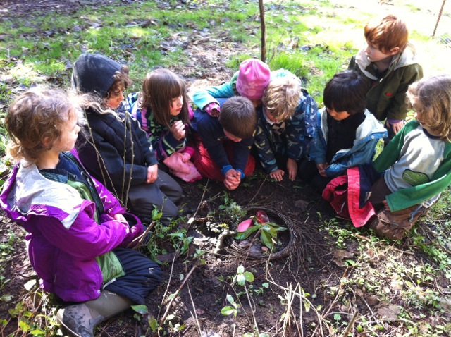 burial of borage