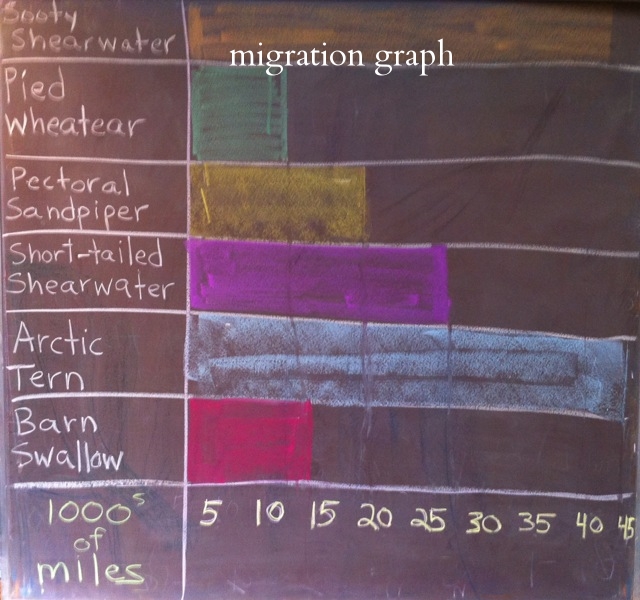 migration bar graph.jpg