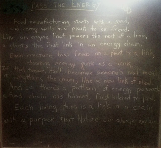 Pass the Energy, Please
