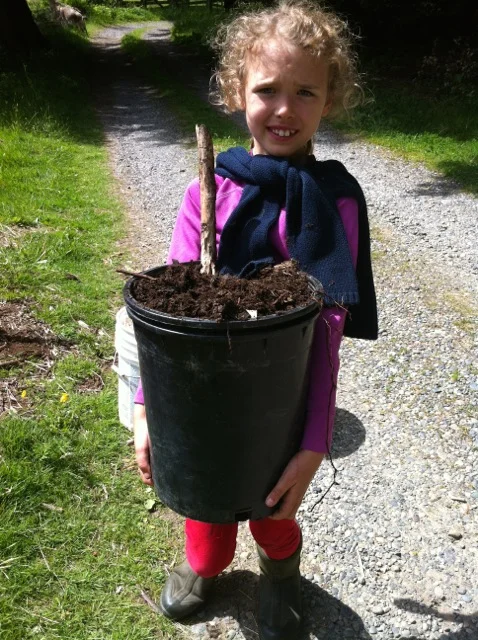 mulch haul