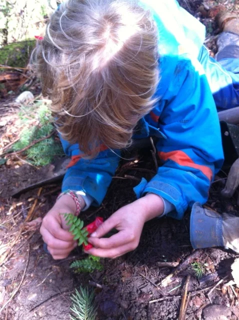 Forest Restoration Workshop