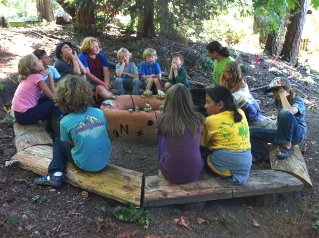 story in the songbird forest