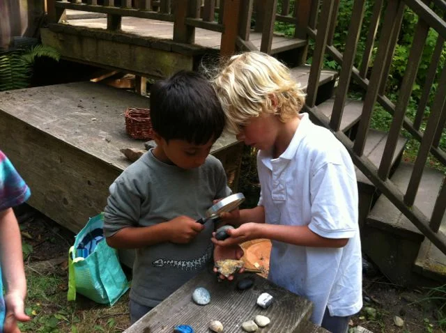 sedementary? igneous? metamorphic?