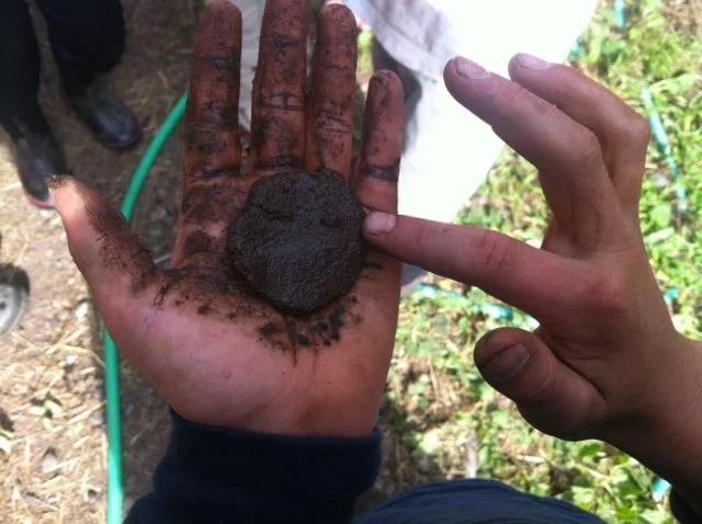 hands on soil classification