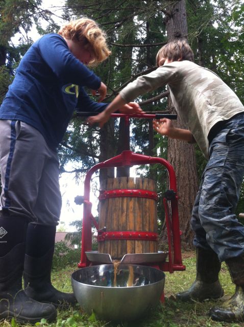 pressing apples