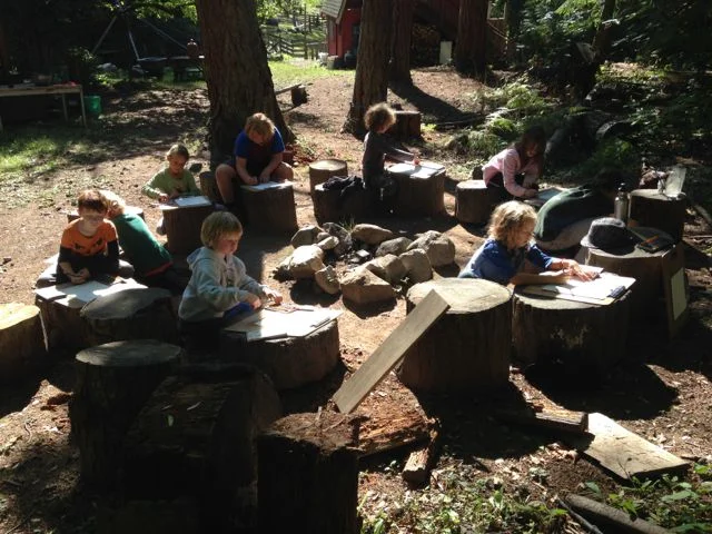 drawing in the firecircle