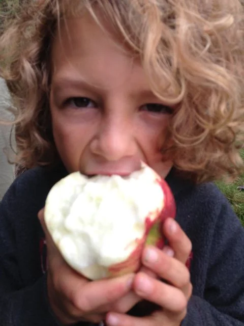 rowan apple.jpg