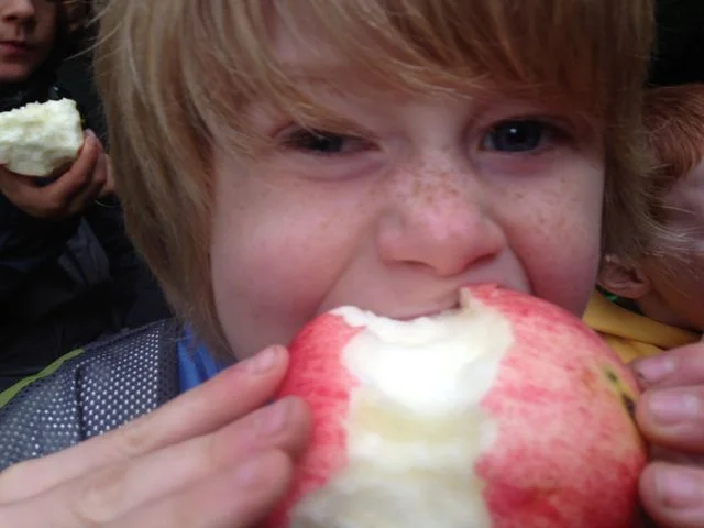 aiden apple.jpg