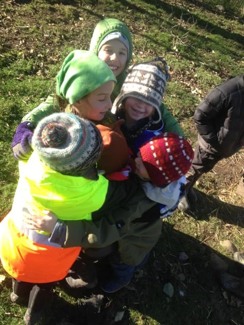 penguin warming huddle