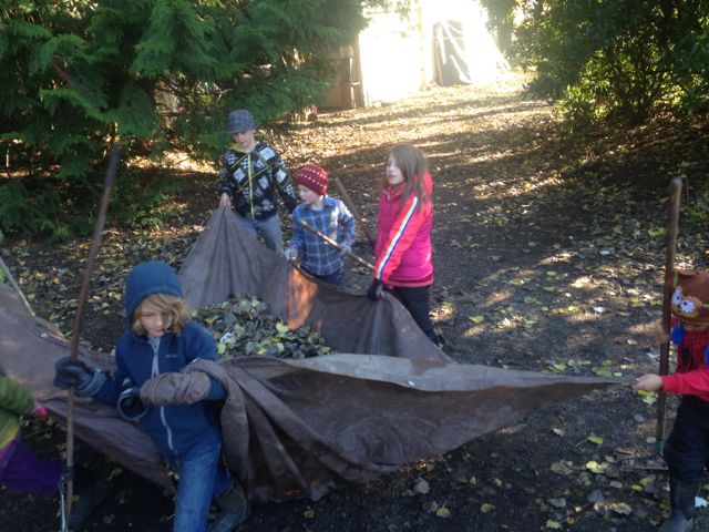 leaf gathering