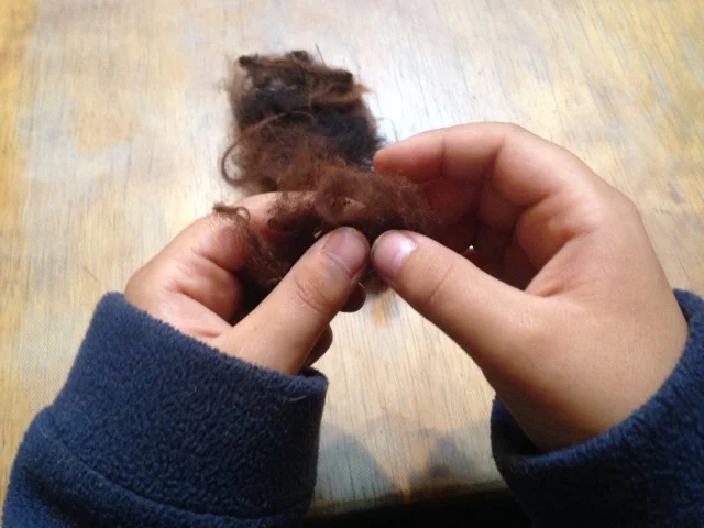 wool.jpg