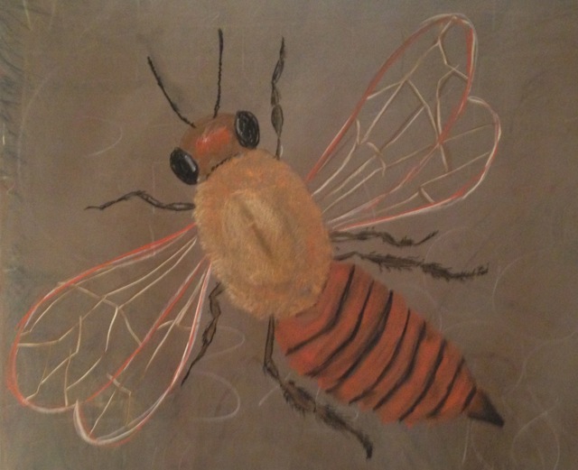 bee drawing.jpg