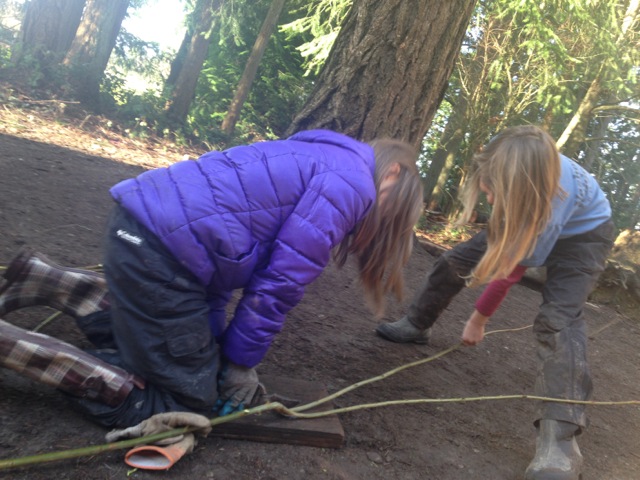 trimming willow .jpg