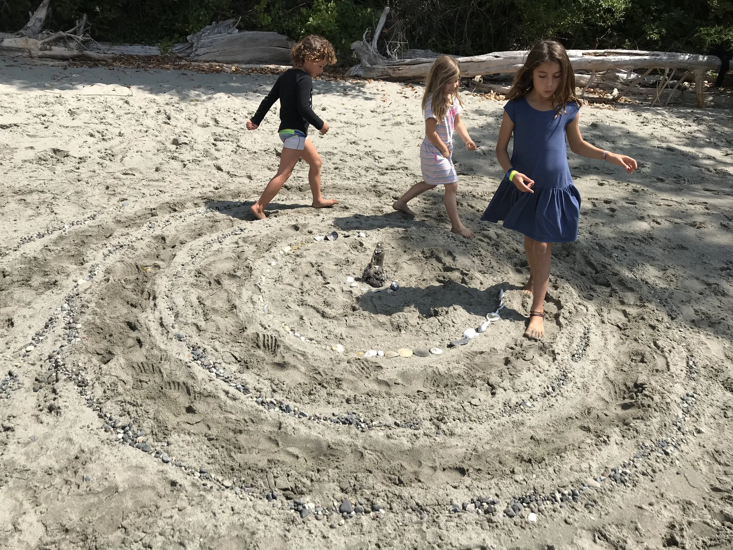 SESSION 2: July 6 - 10, 2020 • seedbees farm summer camp 