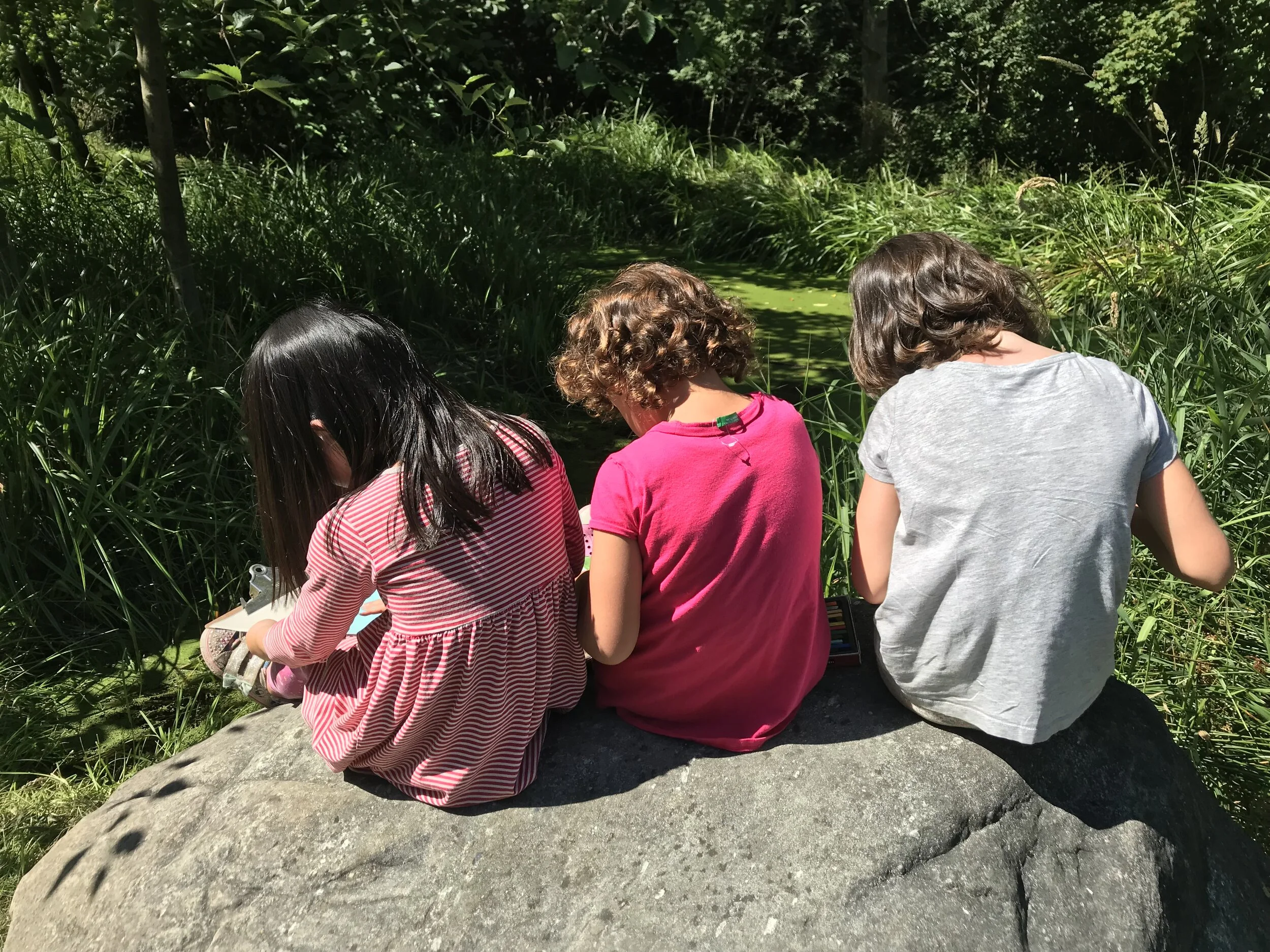 SESSION 3: July 13 - 17, 2020 • seedbees farm summer camp