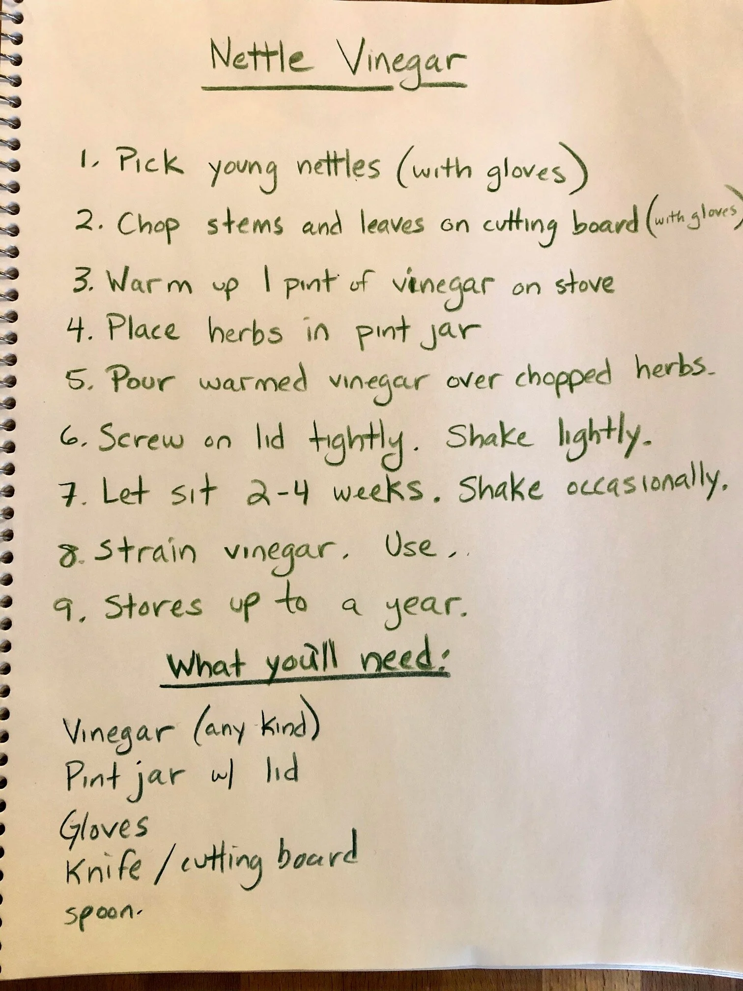3.23.20NettleVinegarRecipe.jpg