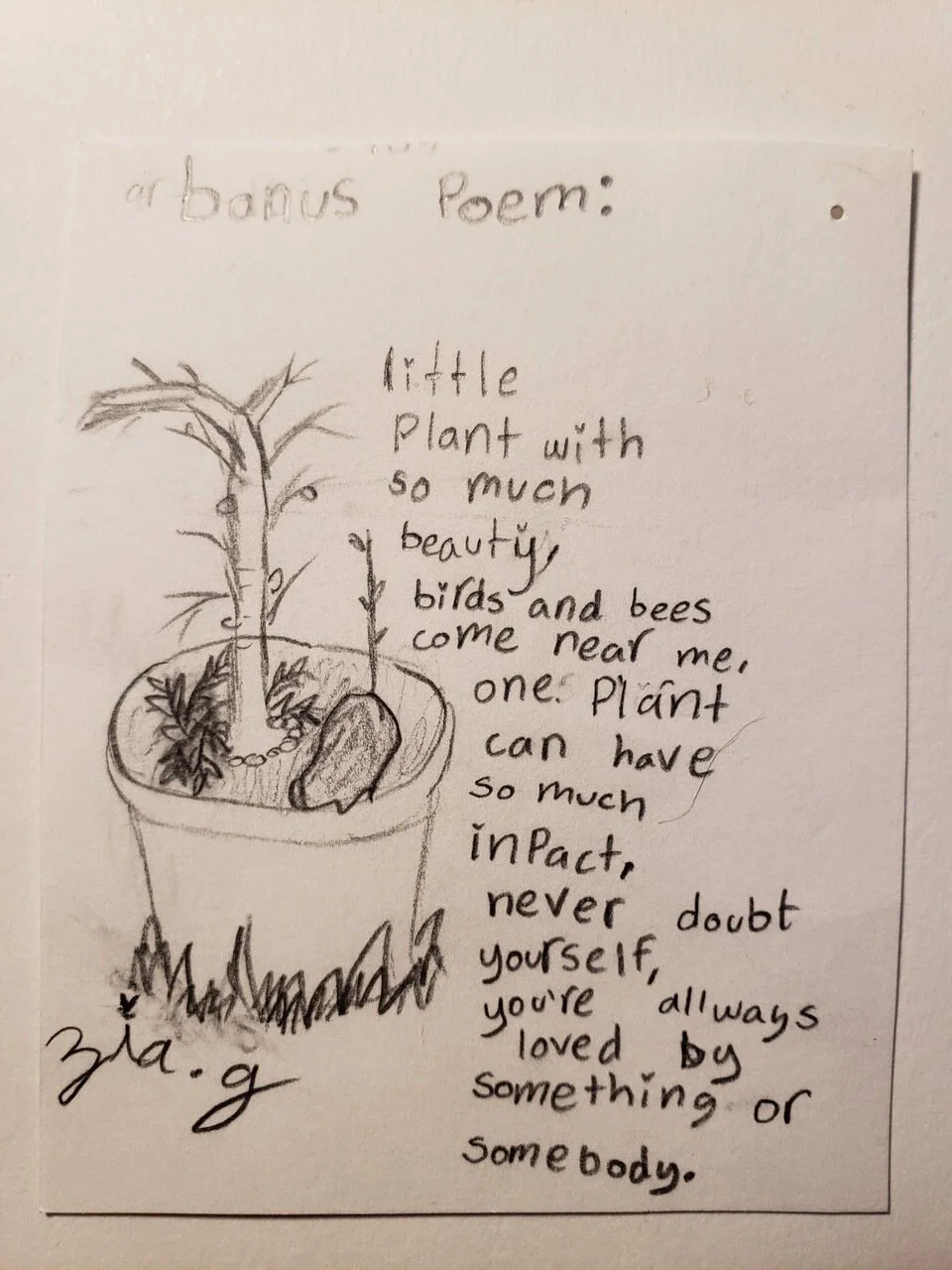 zia poem.jpeg