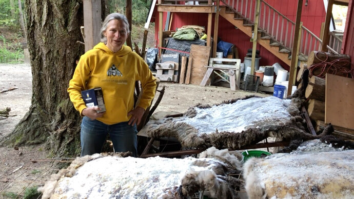 Curing The Hides