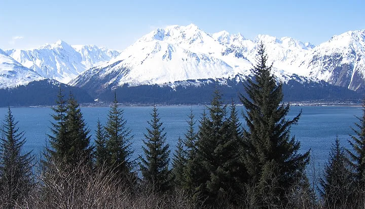41406_Seward10x-1.jpg