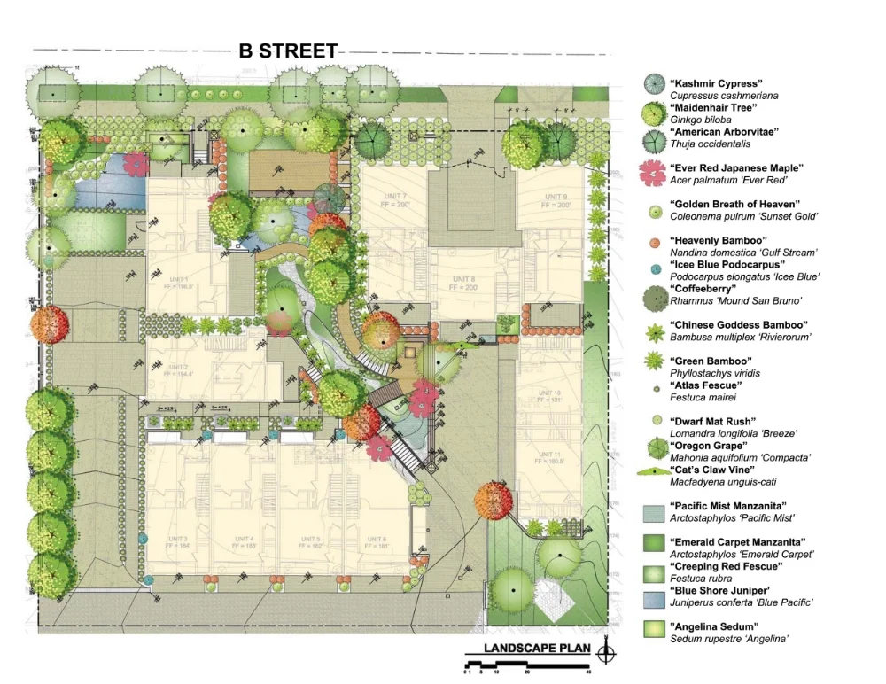 23-3820_03_Site Plan copy.jpg