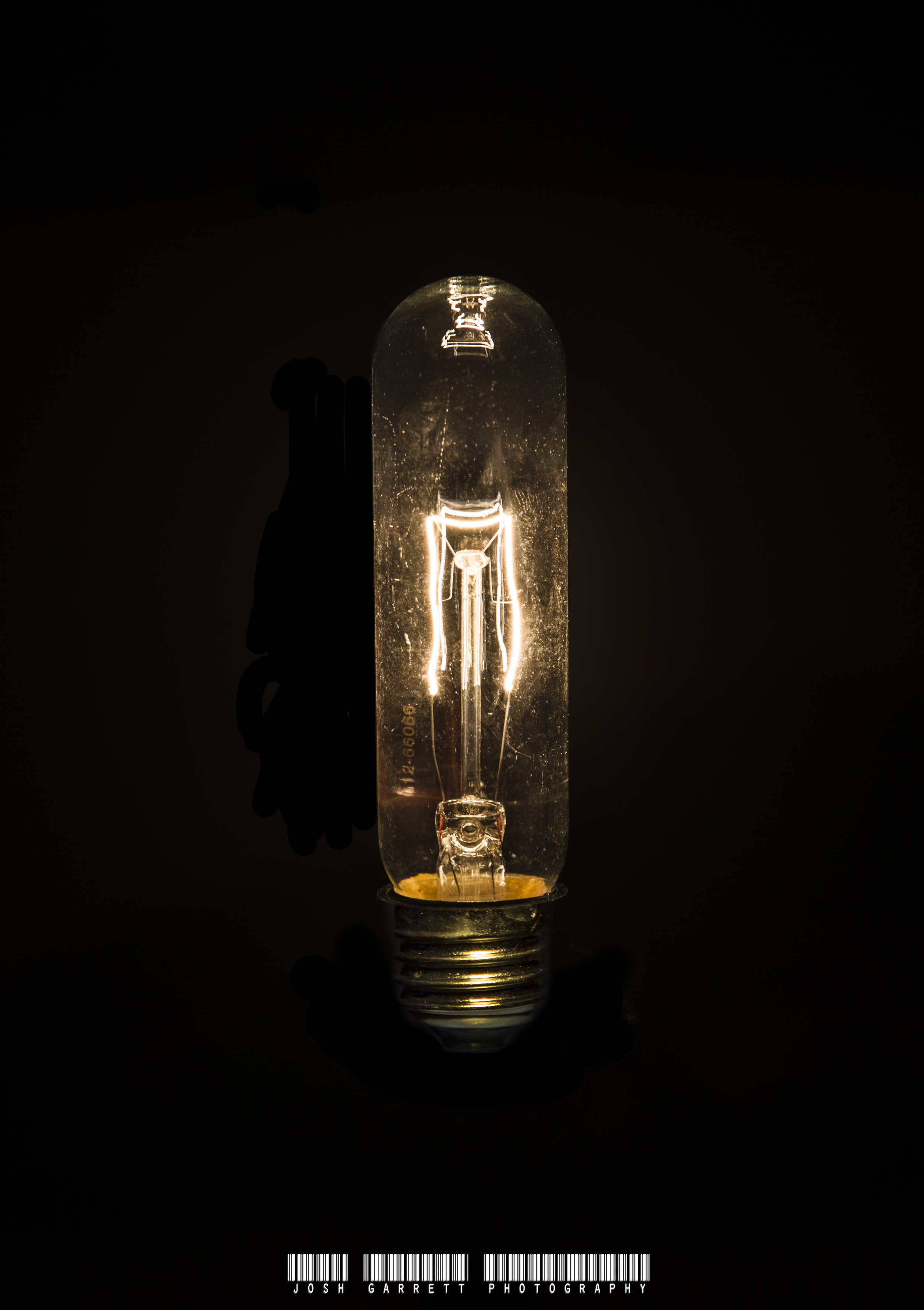 Bulb Logo.jpg