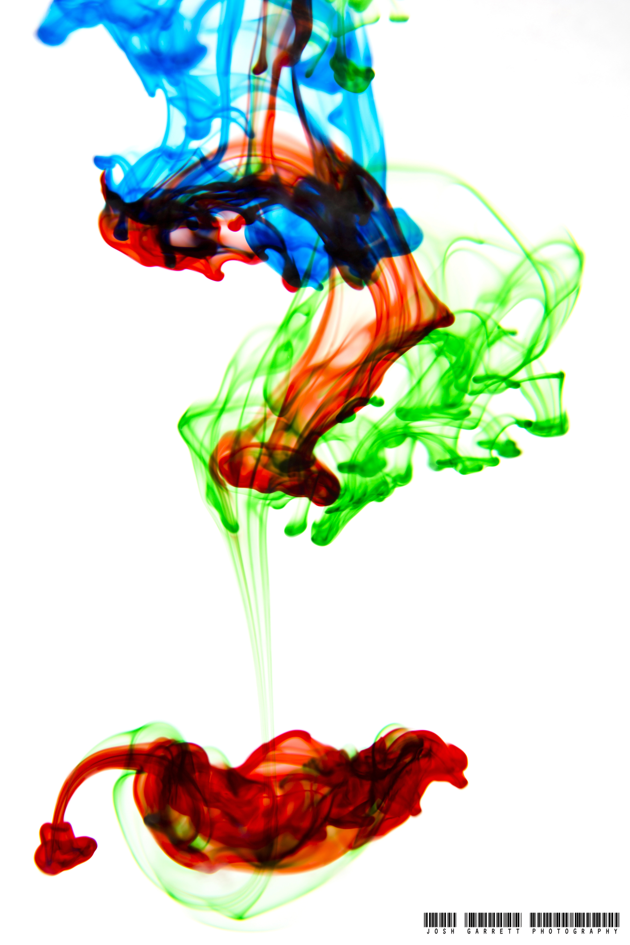 Water Colour Logo.jpg
