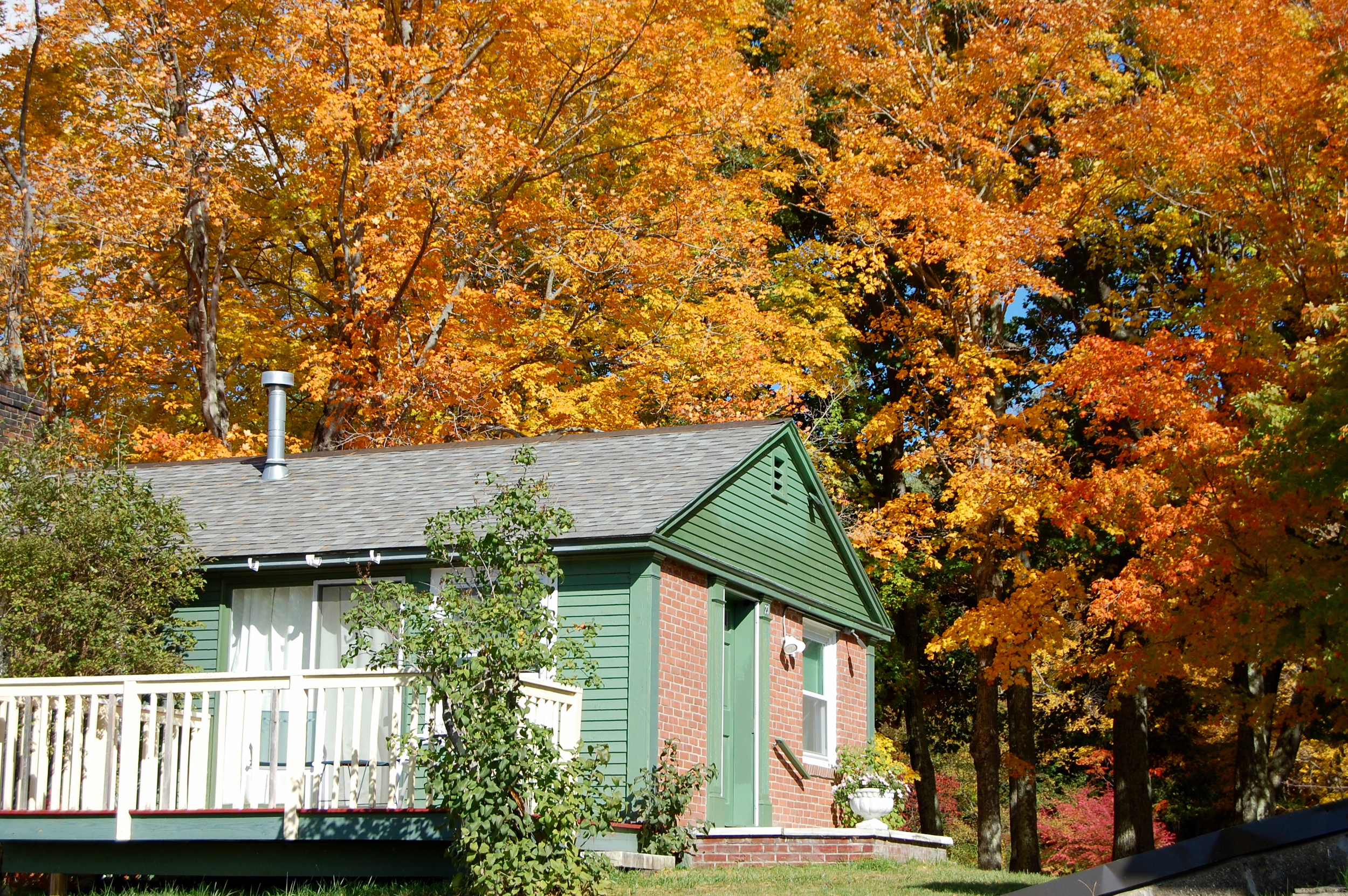 Room 23 in Fall.jpg