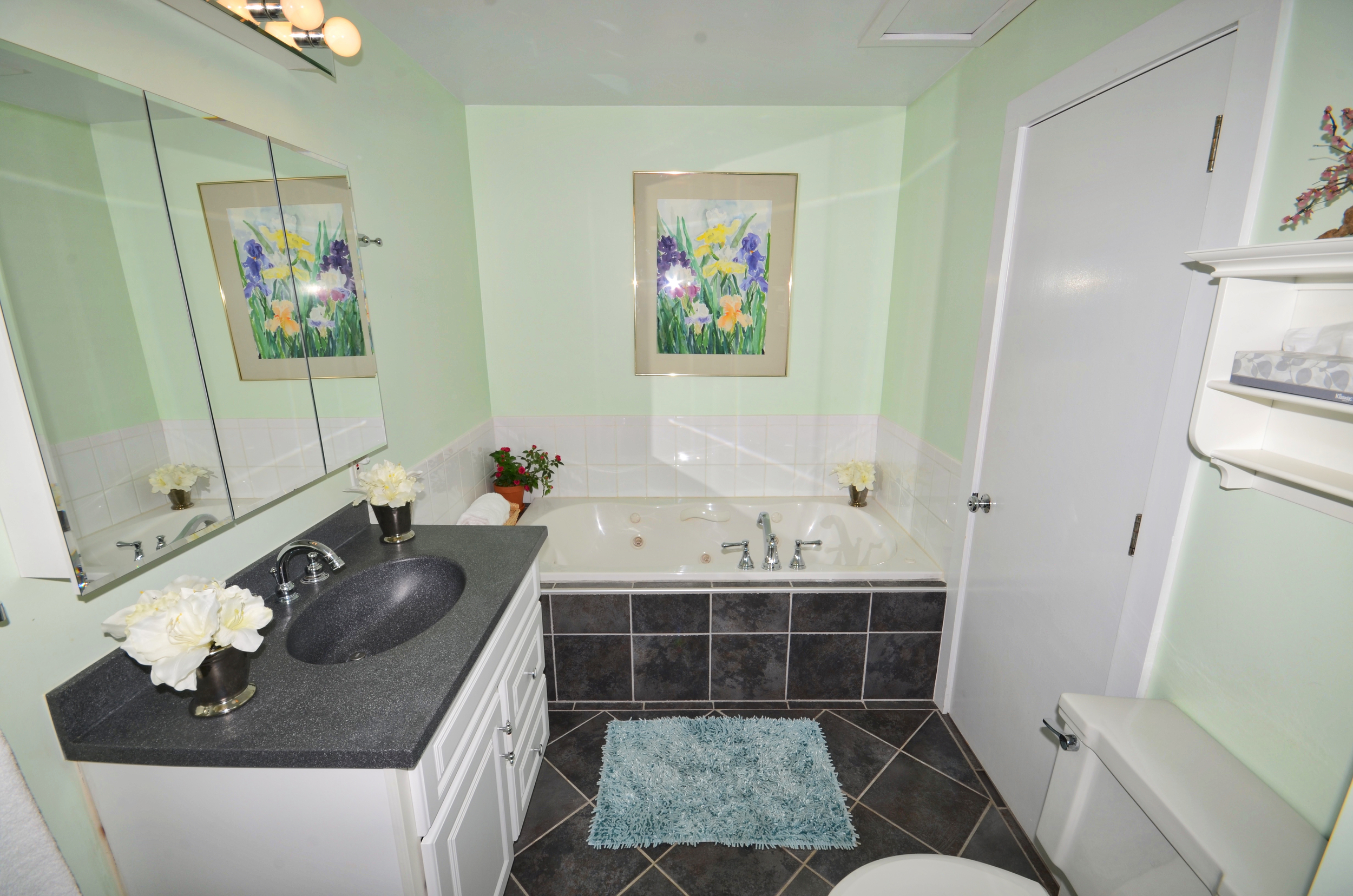 Room 17 Jacuzzi Bathroom Master.jpeg