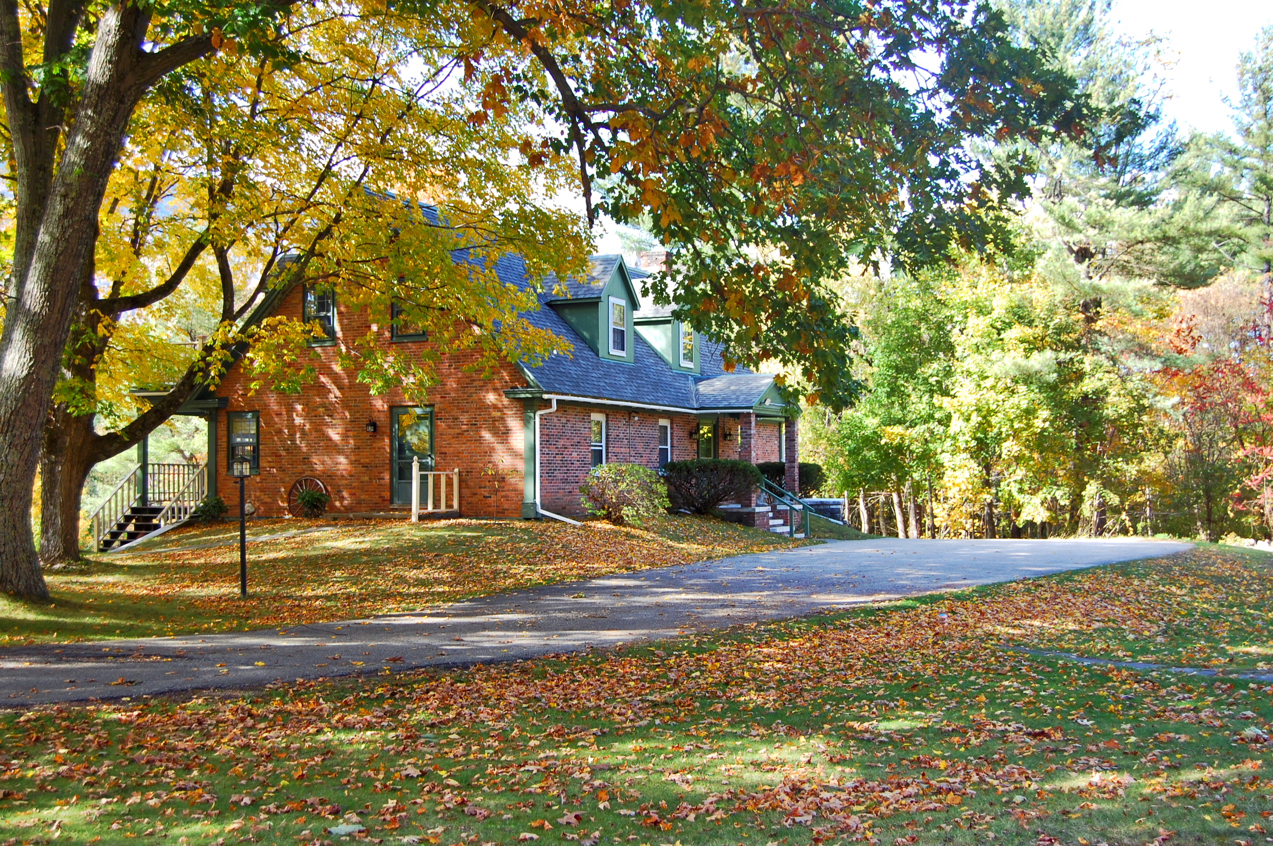 Fall SHV in trees on side.jpeg