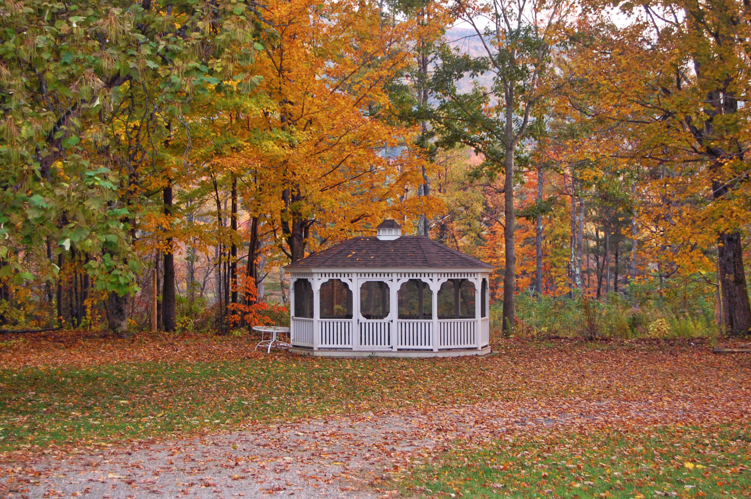 Fall BVM Gazebo.jpg