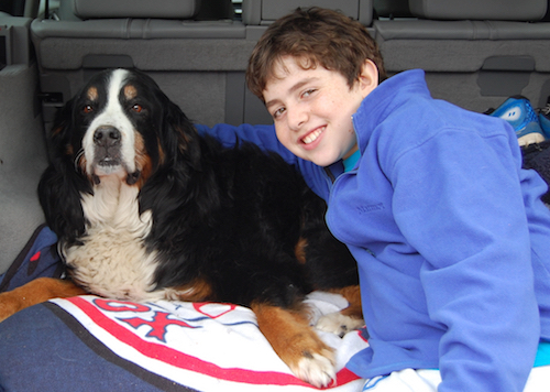 monty st bernard.jpg