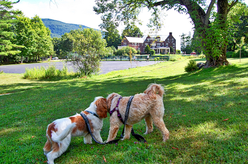 Two Friends at the Wilburton MASTER.jpg