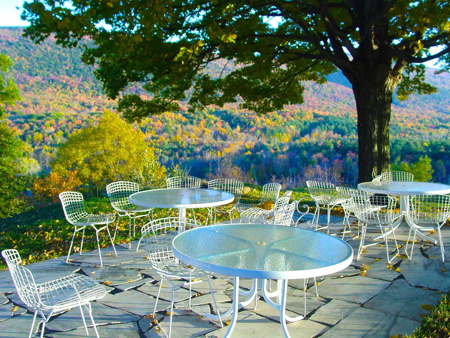 Al Fresco in the Fall.jpg