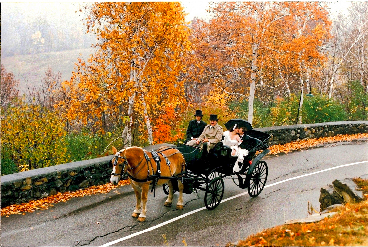 Carriage_Driveway_Wilburton_I.jpg