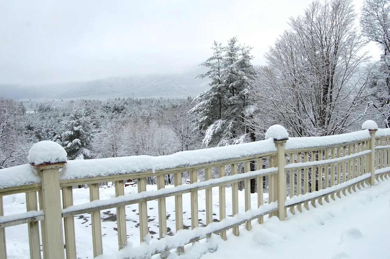 Winter Balacony View.jpg