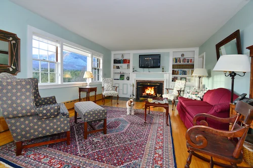 living room fire pets welcome.jpg