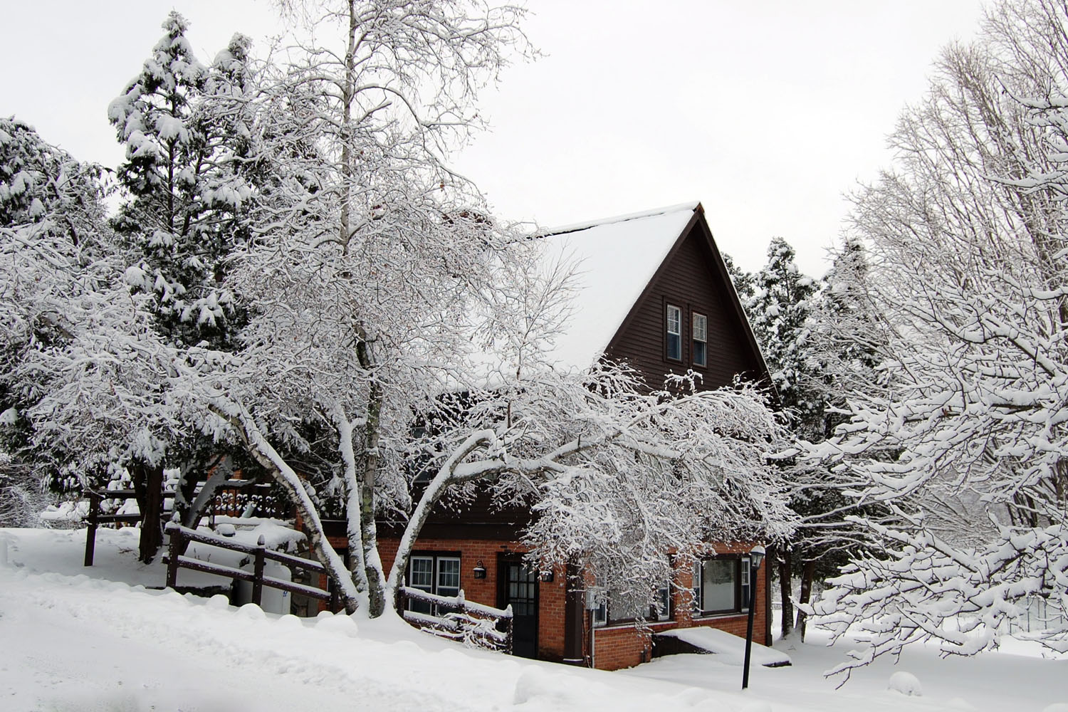 Reunion House buried in Snow.jpg