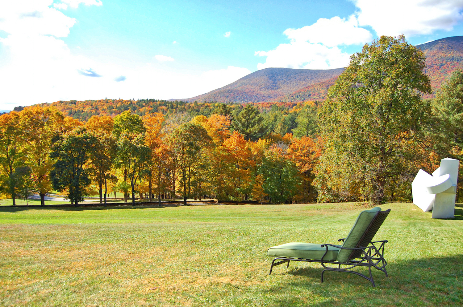 Fall Lounge Chair VT EVV Master.jpg