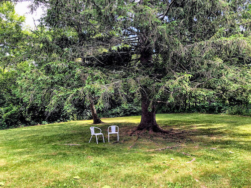 relax under a tree.jpg