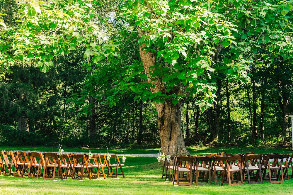 Ceremony under tree BVM wedding.jpg