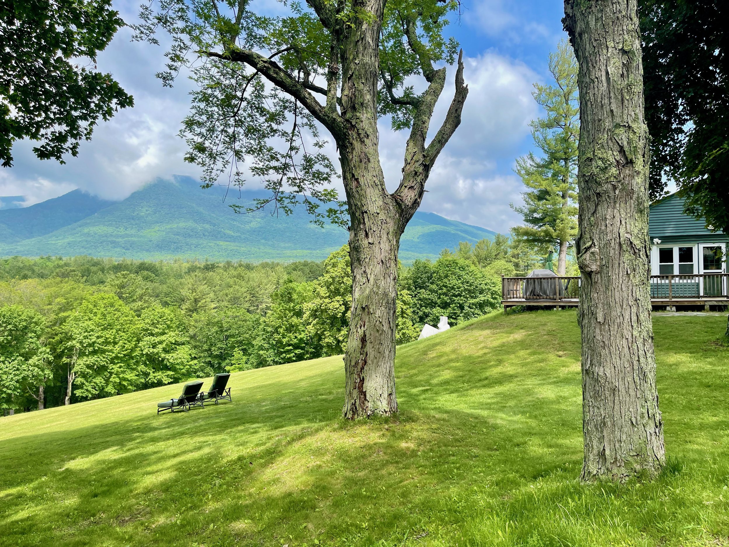 Innkeepers Cottage Summer View.jpeg