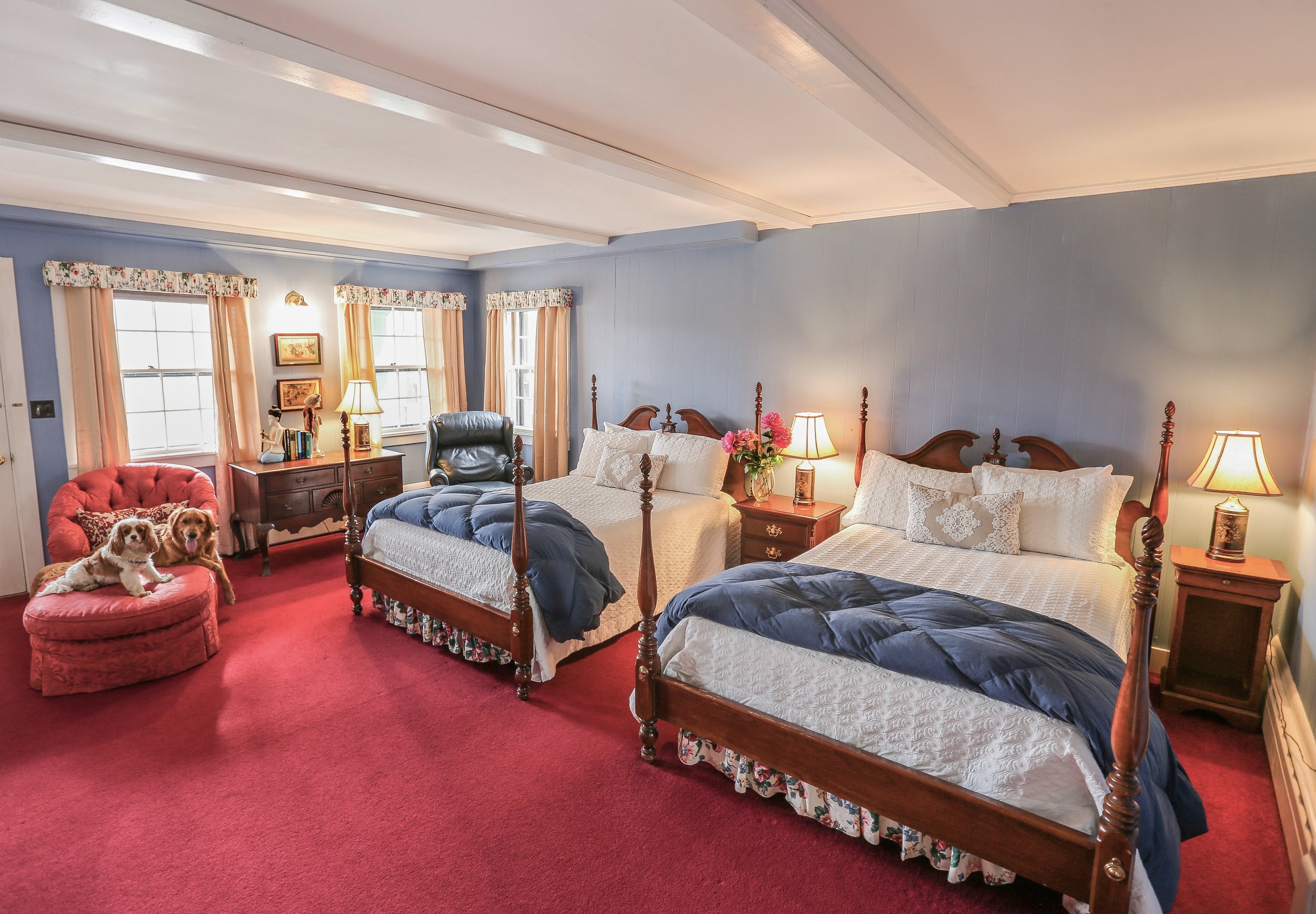 34 Dog friendly guest rooms at The WIlburton.jpeg