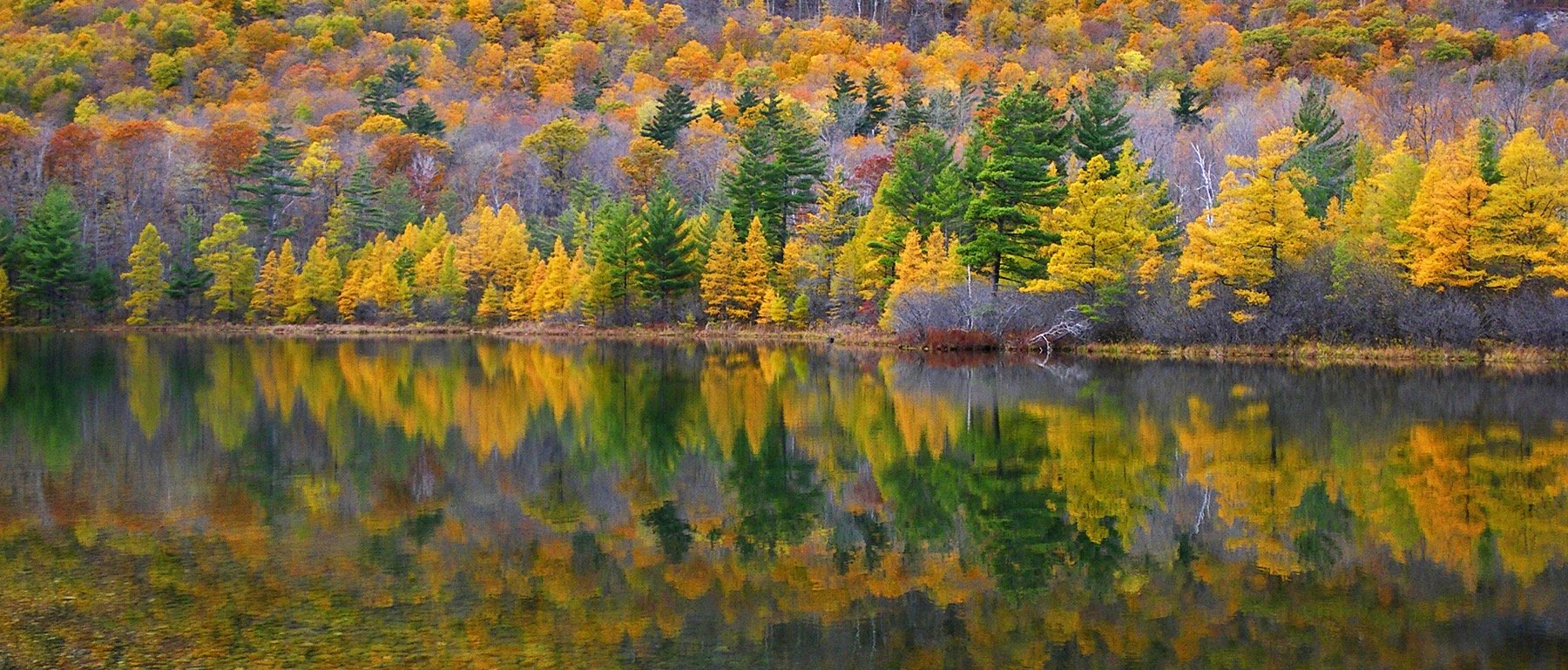 Fall horiz Equinox Pond.jpg