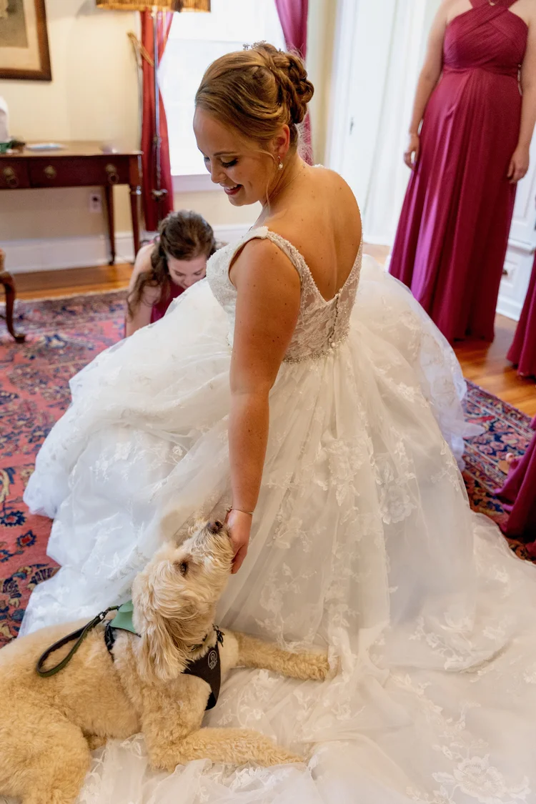 a person in a wedding dress petting a dog