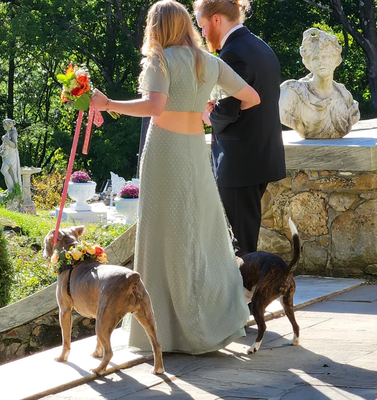 a man and woman holding flowers and walking dogs