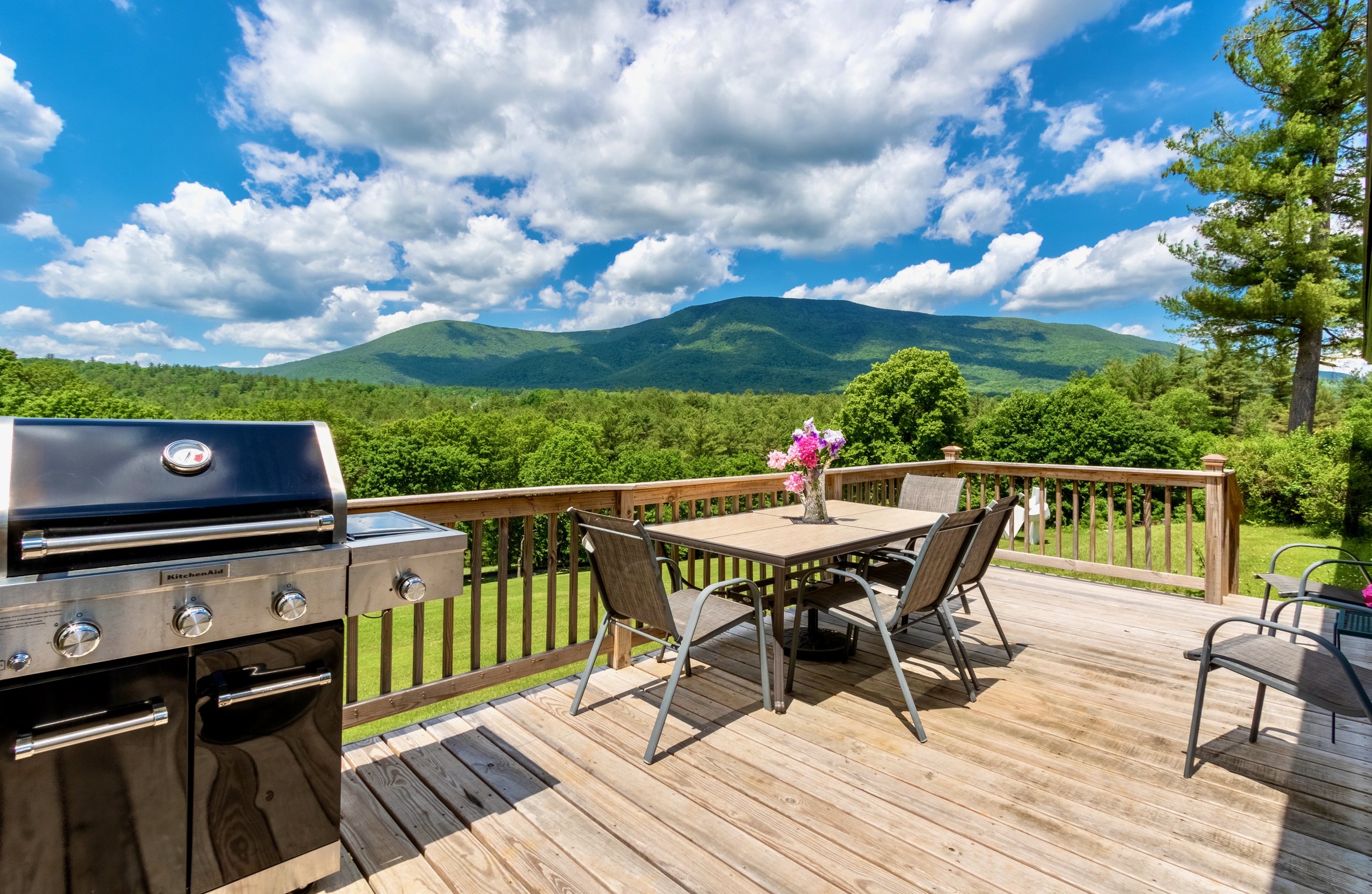 Summer deck with BBQ Innkeepers Cottage The Wilburton Alex Vincent.jpeg