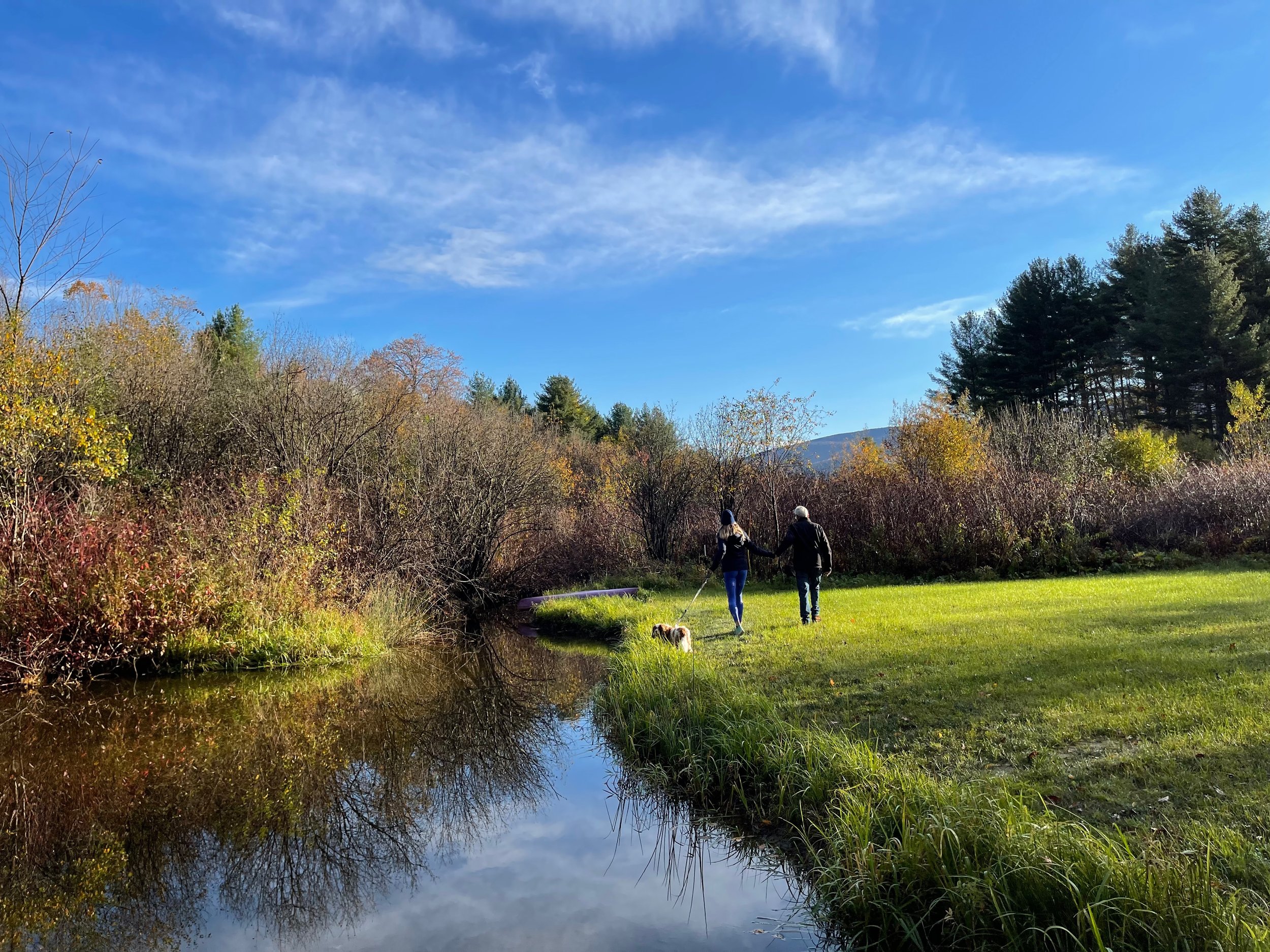 hike at BVM pond.jpeg