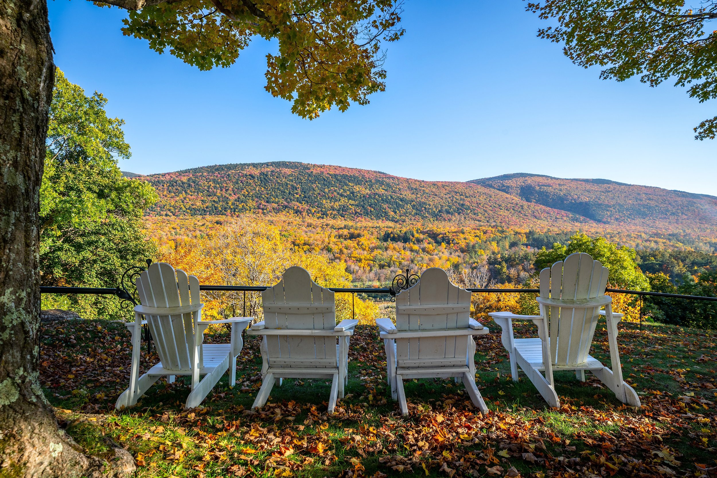 Fall_chairs_The_Wilburton_DB.jpeg