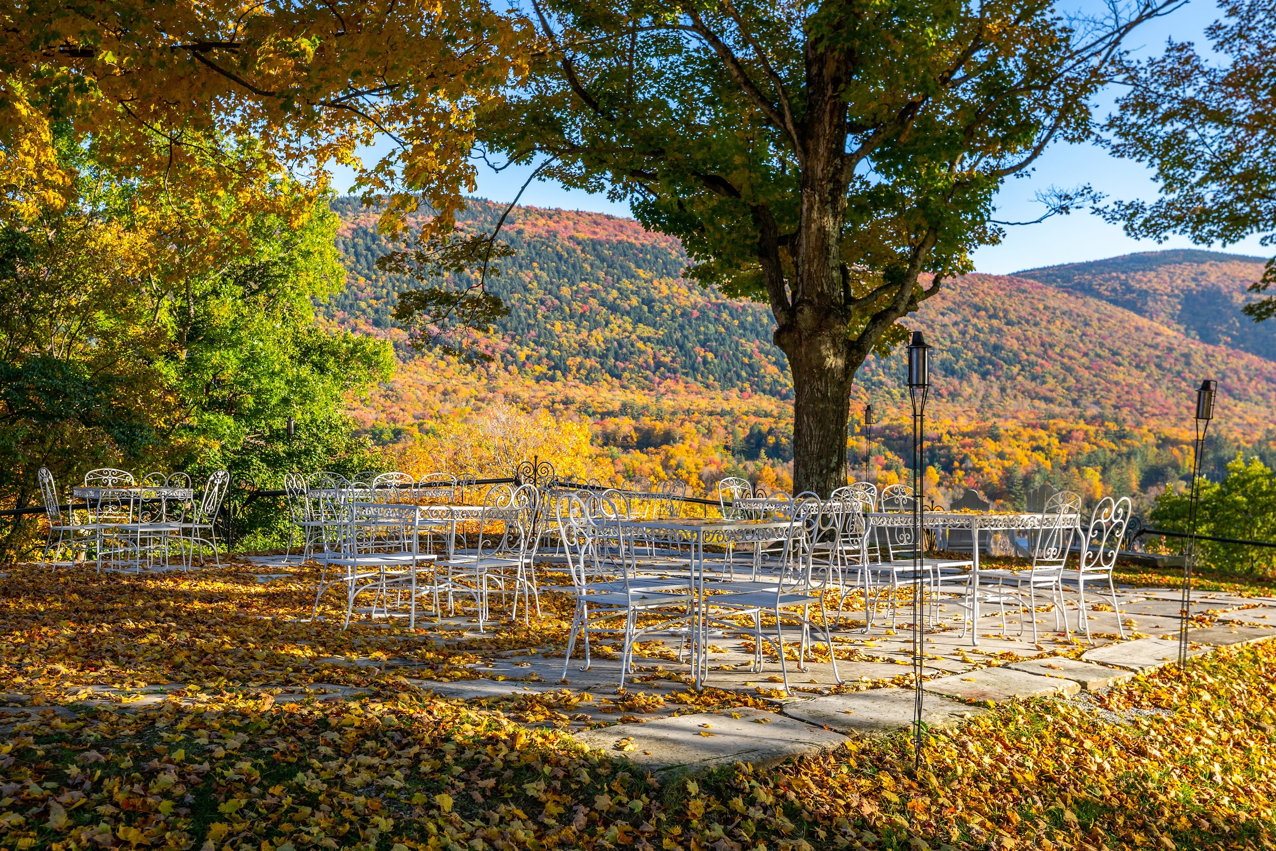 Fall overlook covered in leaves.jpeg